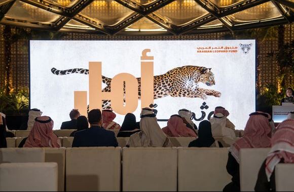 The Arabian Leopard Fund announces first-of-its-kind scholarship programme to train and upskill next generation of conservationists to safeguard the future of endangered big cat sp