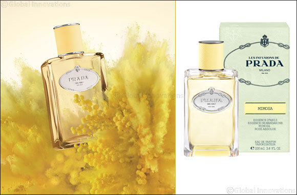 Prada: Mimosa, Les Infusions de Prada