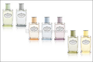 Prada: Mimosa, Les Infusions de Prada