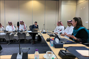 First Regional Policy Workshop On Enabling the Digital Environment