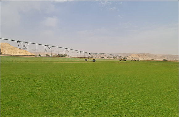 Atlas Turf Arabia Receives ITGAP Certification for Production of Platinum Te Paspalum
