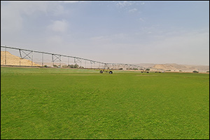 Atlas Turf Arabia Receives ITGAP Certification for Production of Platinum Te Paspalum