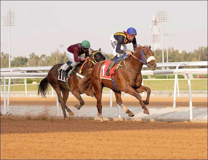 Taif Racing Season's Third Week Kicks Off with Key Races