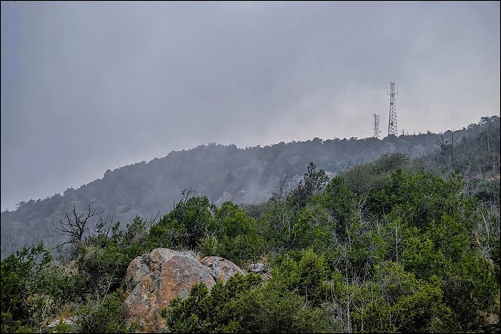 Thick Fog Transforms Al-Baha Foothills into Scenic Summer Retreat