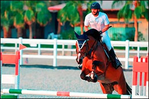 Horse Stables on Jeddah's Beaches: A Tourist Destination Combining Sports and Entertainment