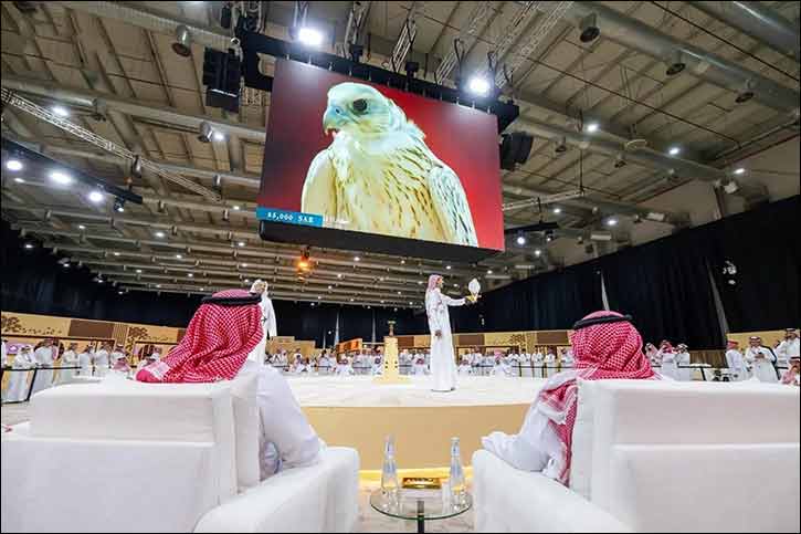 Record-Breaking Falcon Sold for SAR151,000 at IFBA 2025