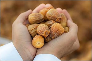 ‘Qassim Land' Emerges as Global Platform for Responsible Consumption, Production