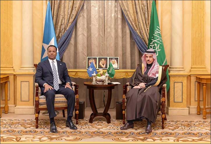 Foreign Minister Receives Somali Foreign Minister