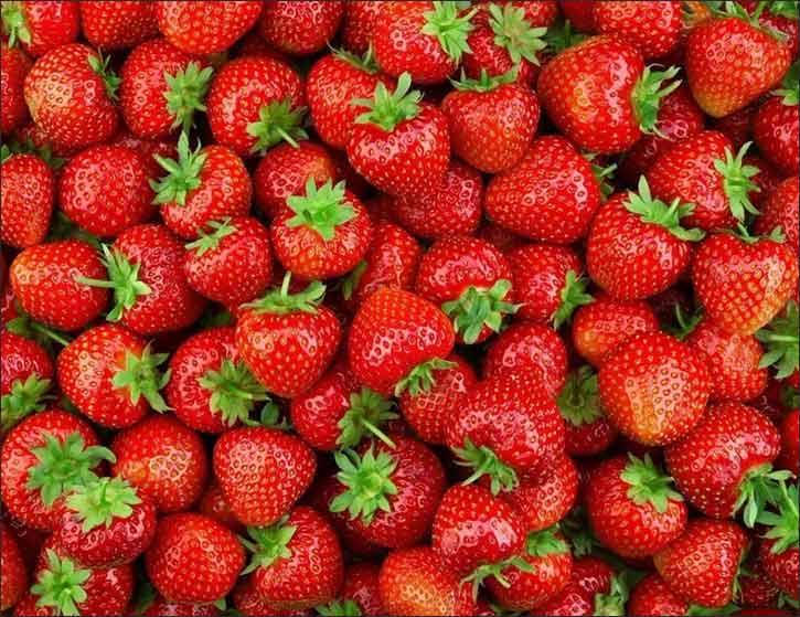 National Strawberry Season Launched to Support Local Agricultural Products
