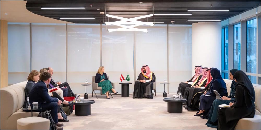 Minister of Economy and Planning Meets Austrian Foreign Minister