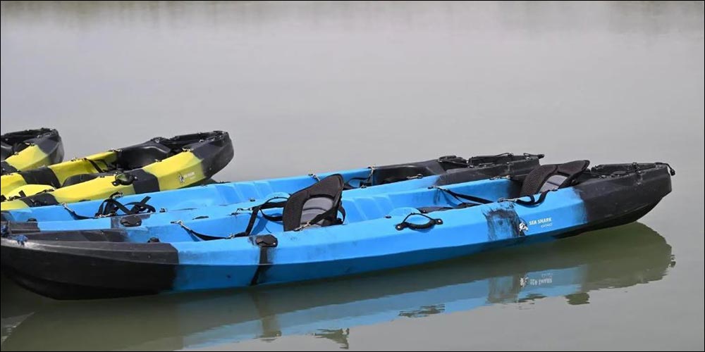 Farasan Islands Revitalize Mangrove Beach with Kayaking Experience