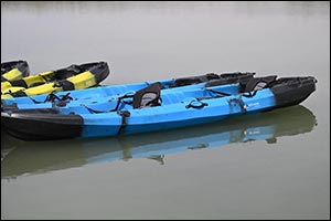 Farasan Islands Revitalize Mangrove Beach with Kayaking Experience