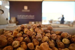 Seventh AlUla Dates Season Opens Today