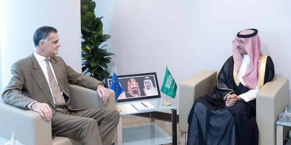Human Resources Vice Minister Discusses Cooperation with EU Ambassador