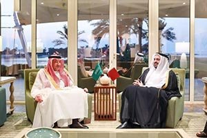 Vice Minister of Foreign Affairs Meets with Qatari Minister of State